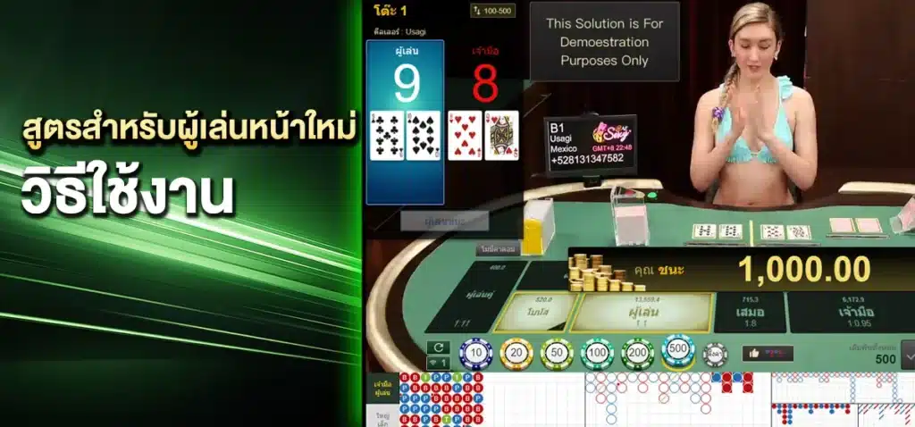 วิธีใช้งาน สูตรสำหรับผู้เล่นหน้าใหม่